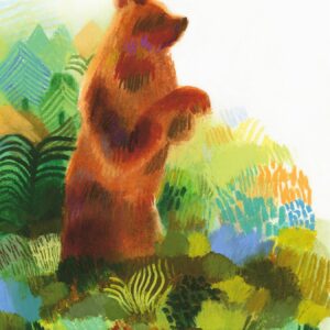 Un orso
